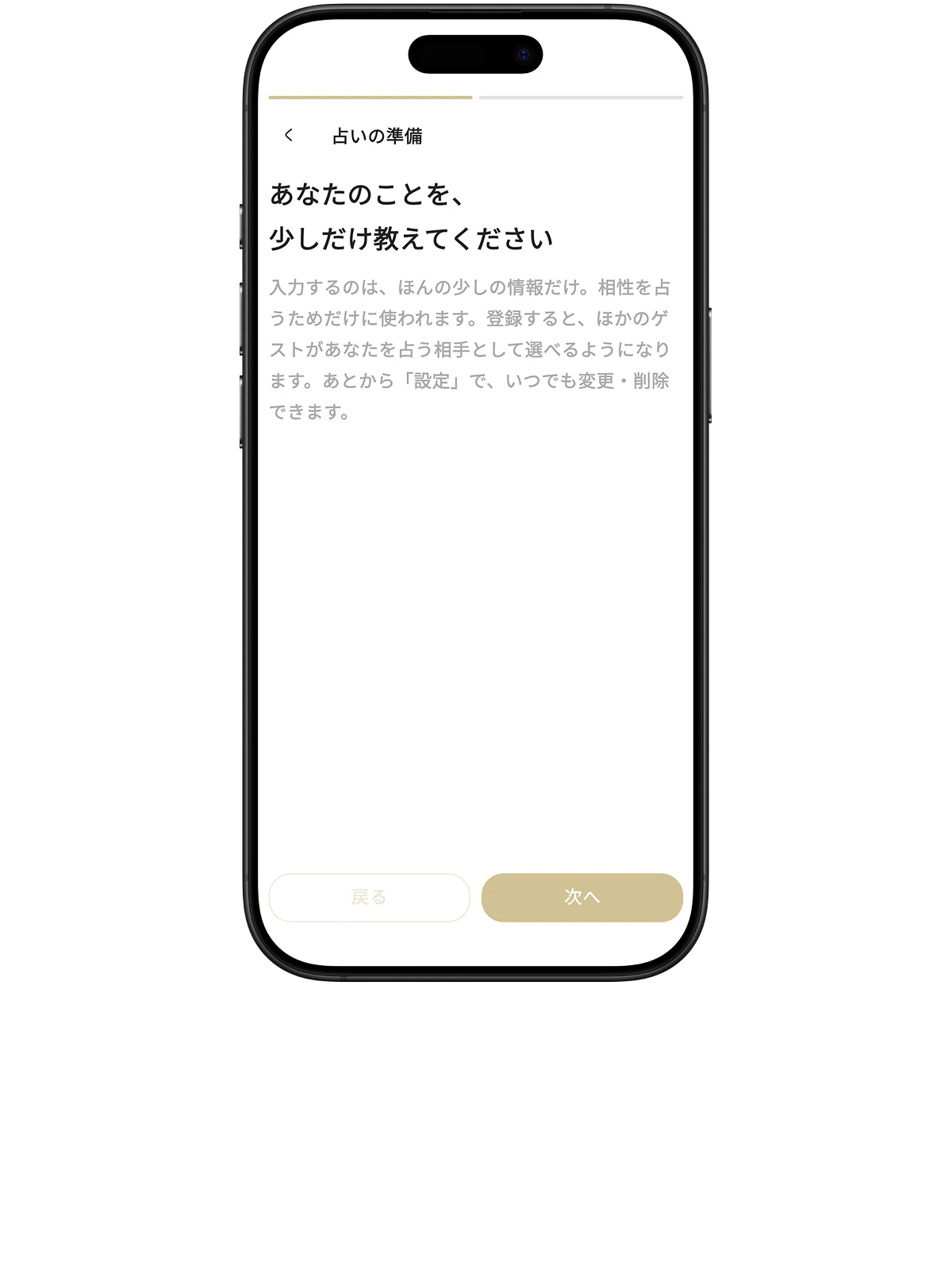 「あなたのことを、少しだけ教えてください」と表示された、占いの準備画面